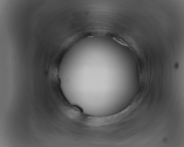 X0000101200045200807071325