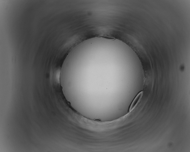 X0000101200047200807071325