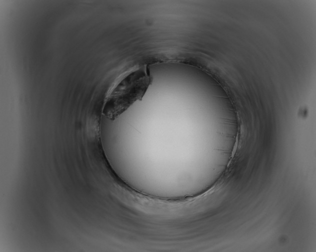 X0000101200048200807071325
