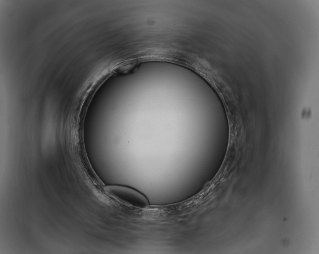 X0000101200050200807071324