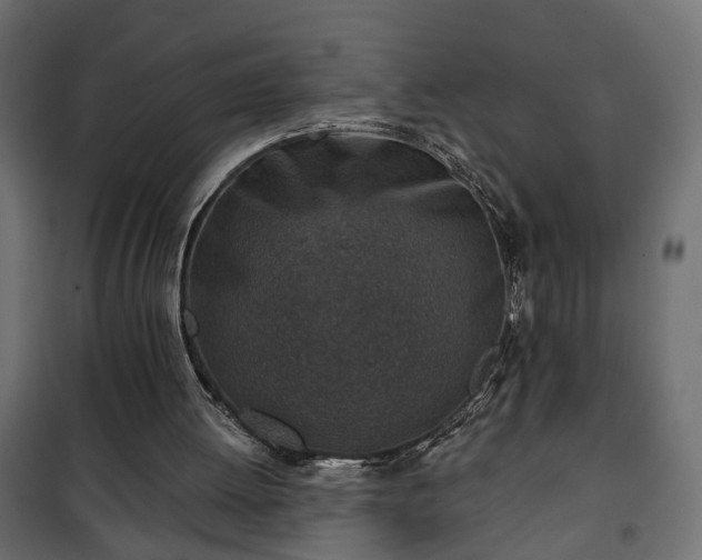 X0000101200052200807071324