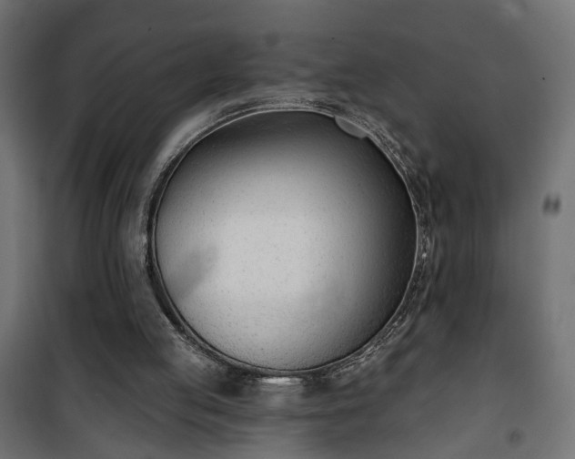 X0000101200053200807071324