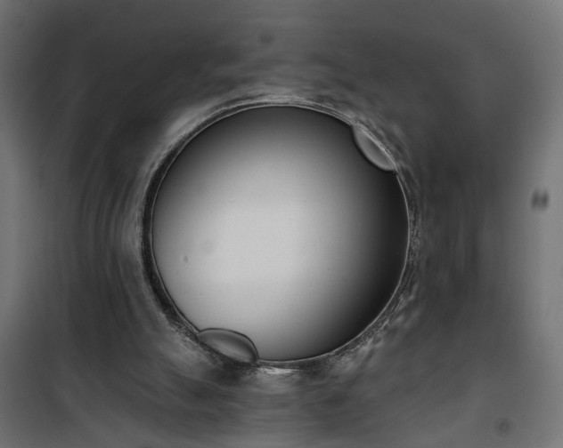 X0000101200055200807071324
