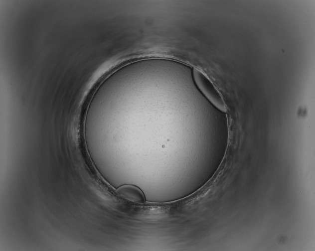 X0000101200056200807071324