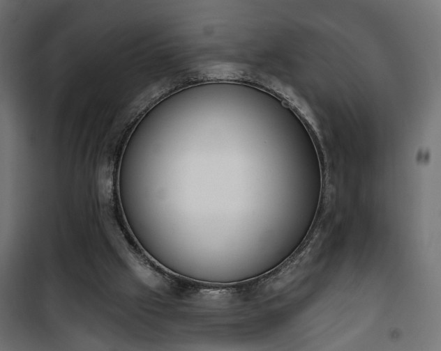 X0000101200057200807071324