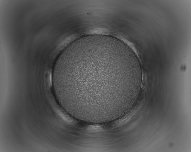 X0000101200061200807071324