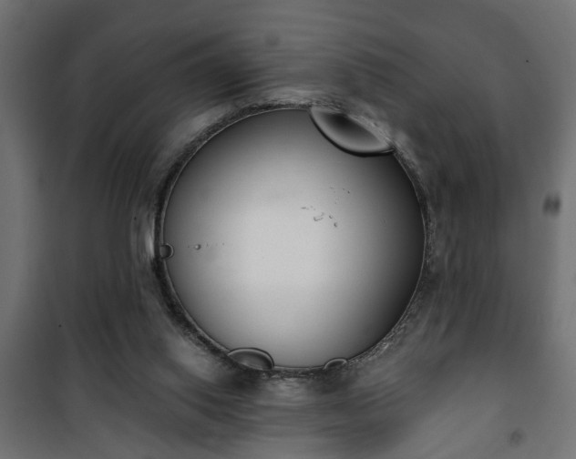 X0000101200062200807071324