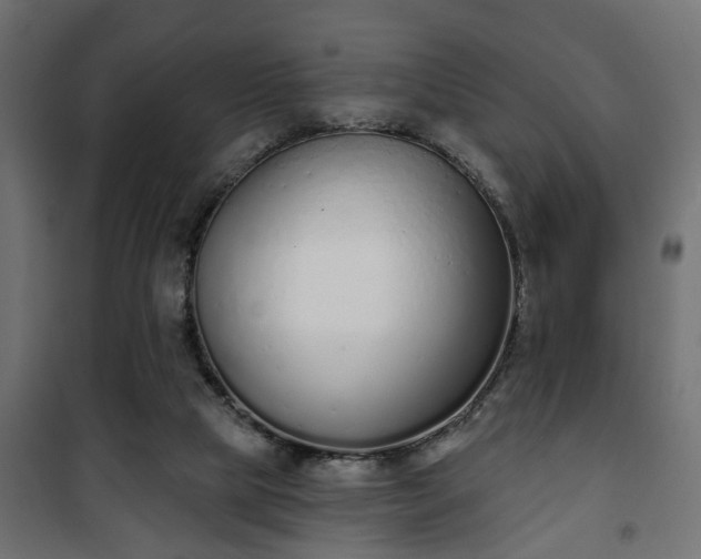 X0000101200065200807071324