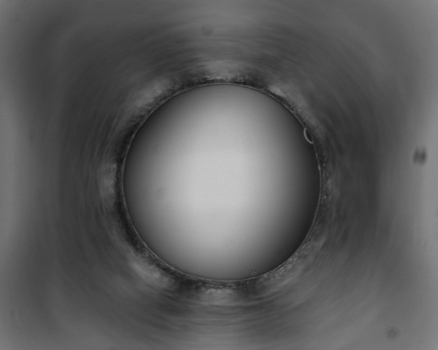X0000101200066200807071324