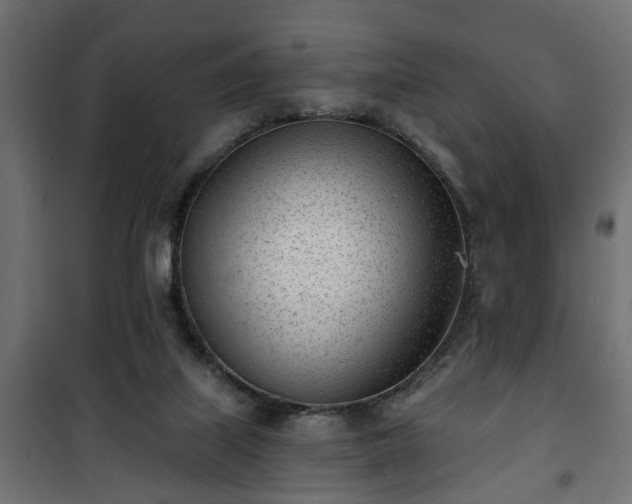 X0000101200067200807071324