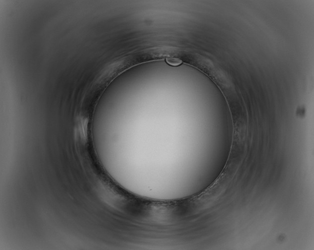 X0000101200070200807071324