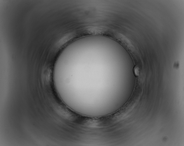 X0000101200071200807071324