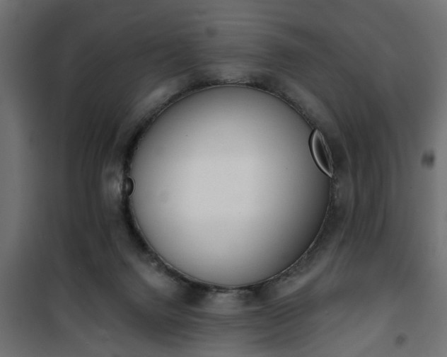 X0000101200072200807071324