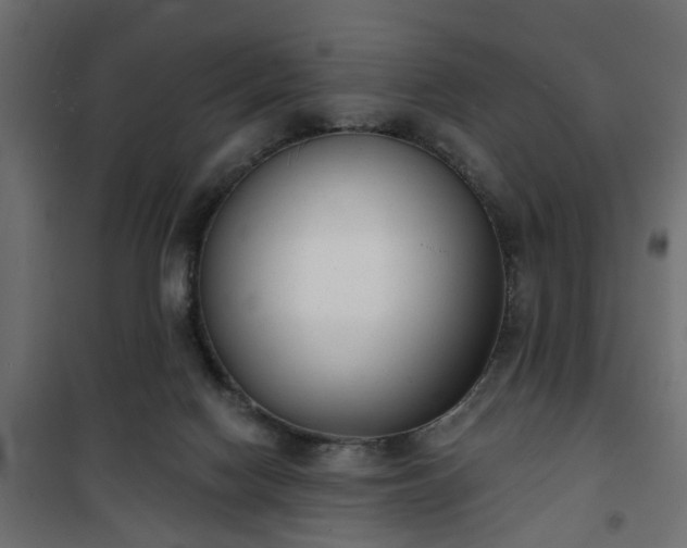 X0000101200074200807071324