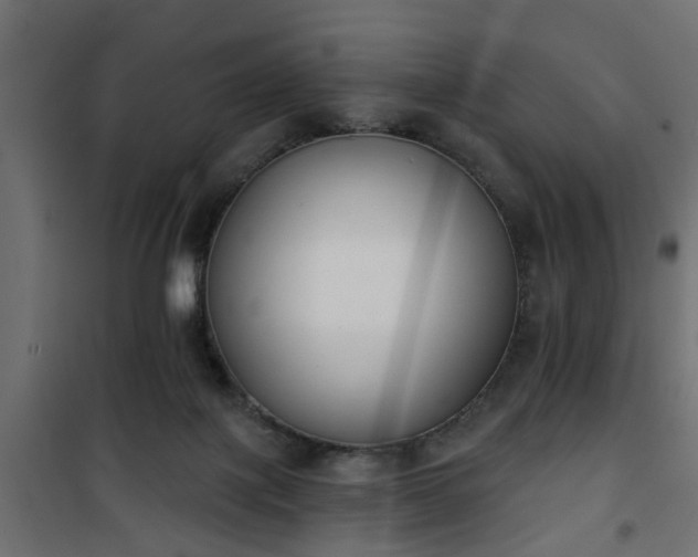 X0000101200075200807071324
