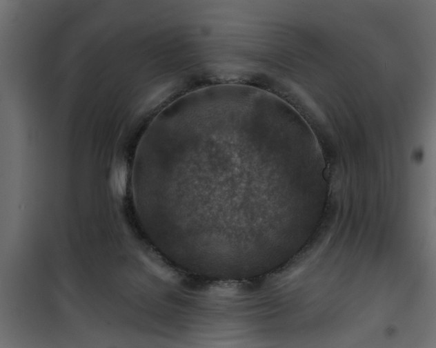 X0000101200076200807071324