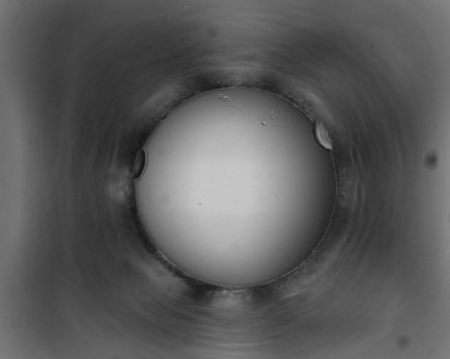 X0000101200077200807071324