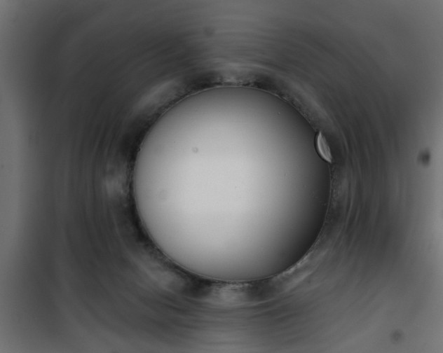 X0000101200078200807071325