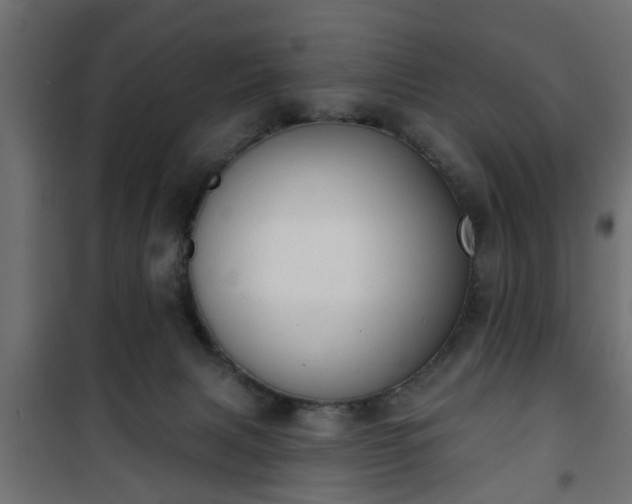 X0000101200079200807071325