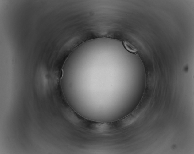 X0000101200085200807071325