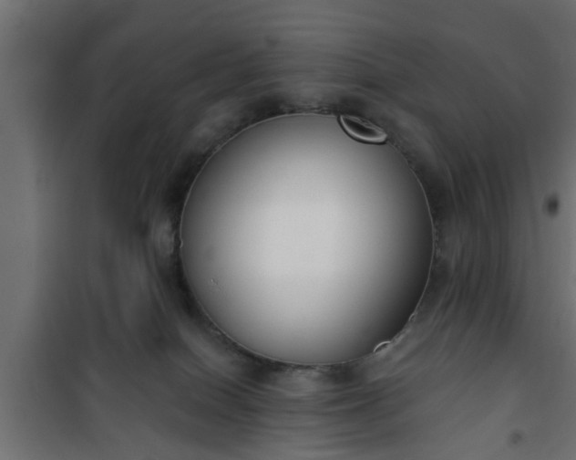 X0000101200086200807071325