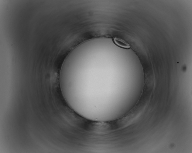 X0000101200087200807071325
