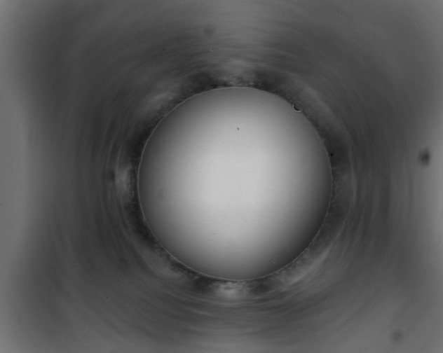 X0000101200088200807071325