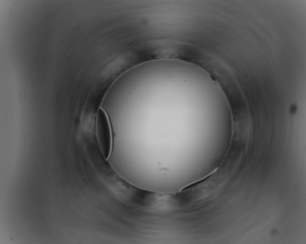 X0000101200093200807071325