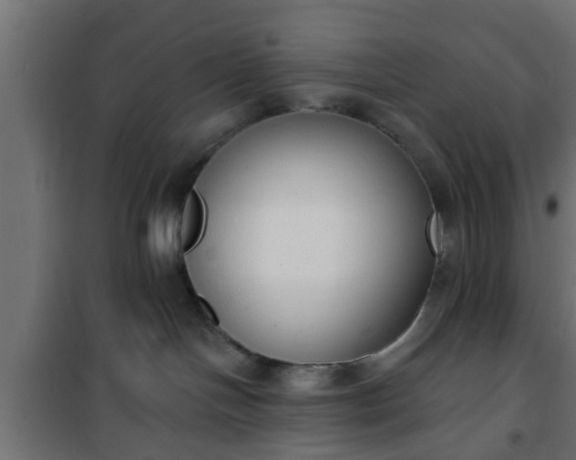X0000101200094200807071325