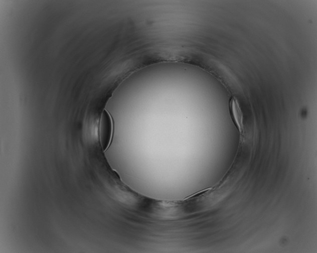 X0000101200095200807071325