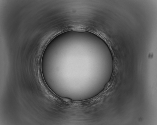 X0000101200097200807071324