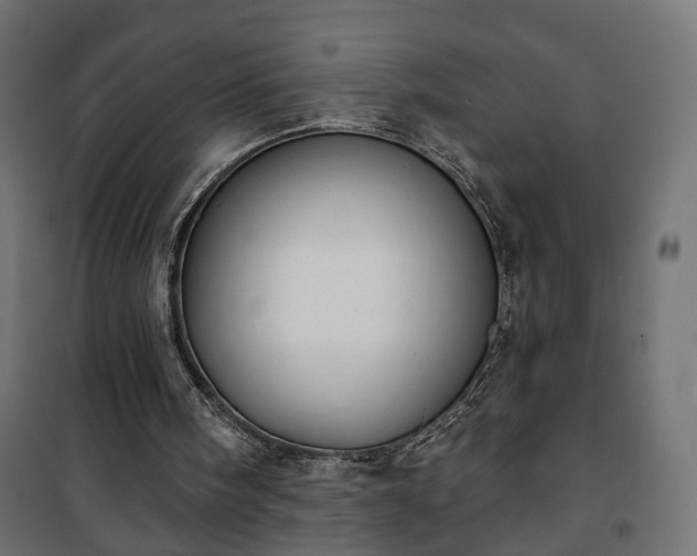 X0000101200098200807071324