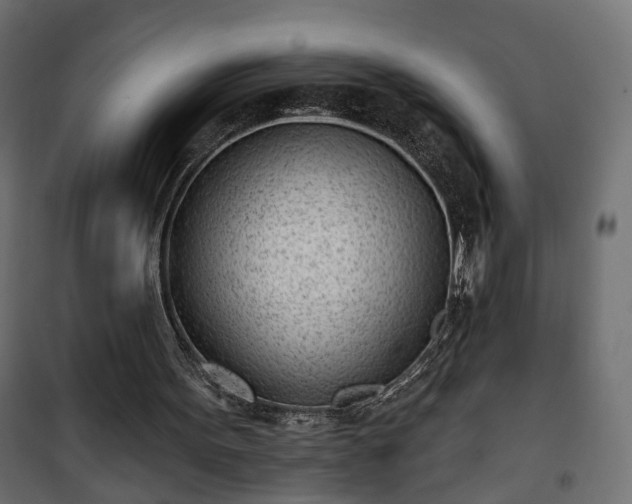 X0000101200099200807071324