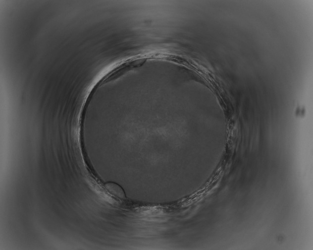 X0000101200100200807071324