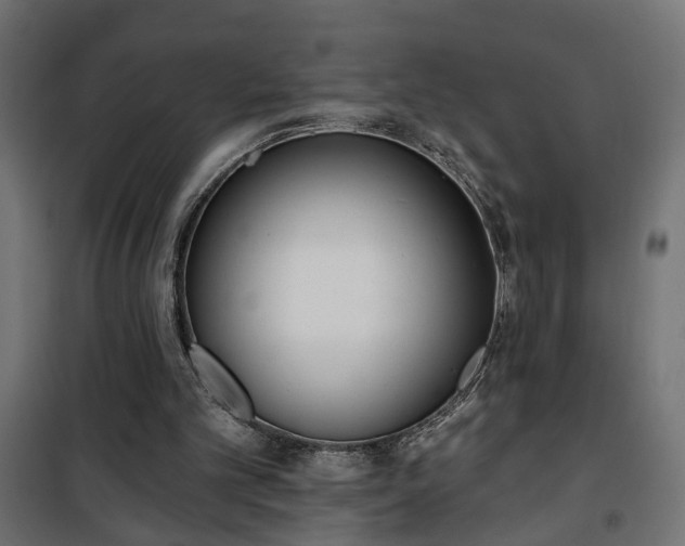 X0000101200101200807071324