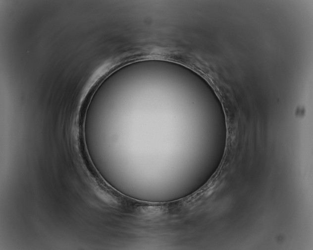 X0000101200102200807071324