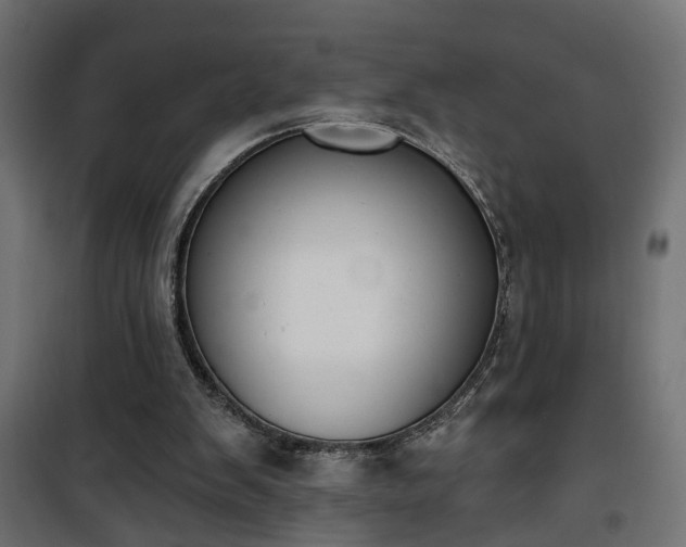 X0000101200103200807071324