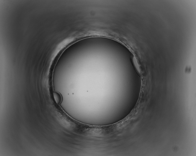 X0000101200104200807071324