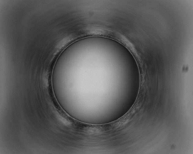 X0000101200106200807071324