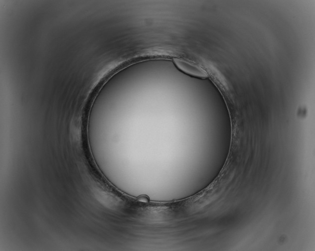 X0000101200108200807071324