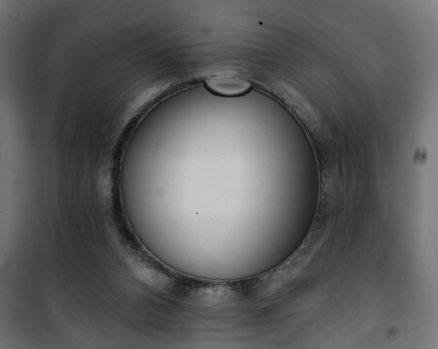 X0000101200112200807071324