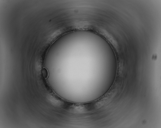 X0000101200113200807071324