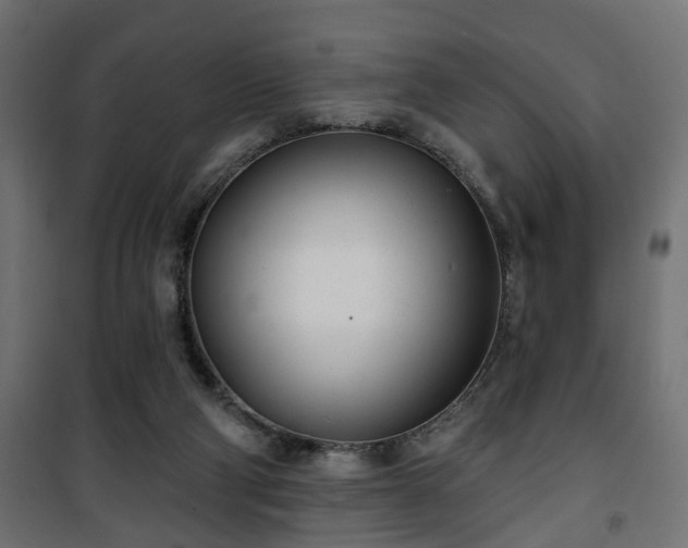 X0000101200114200807071324