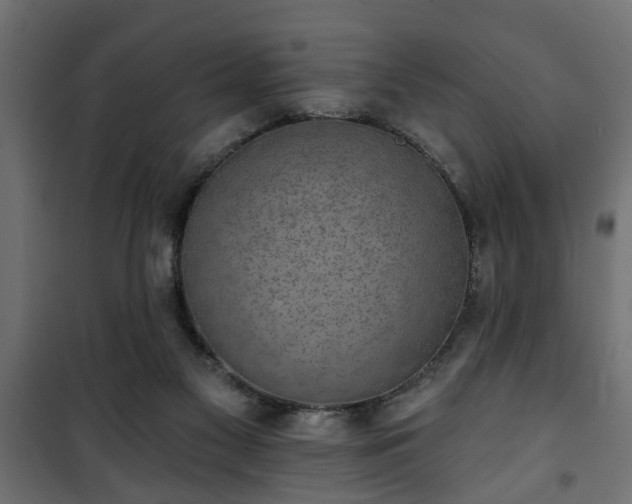 X0000101200117200807071324