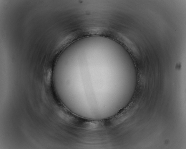 X0000101200118200807071324