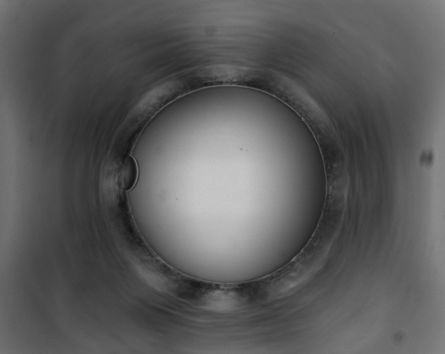X0000101200119200807071324