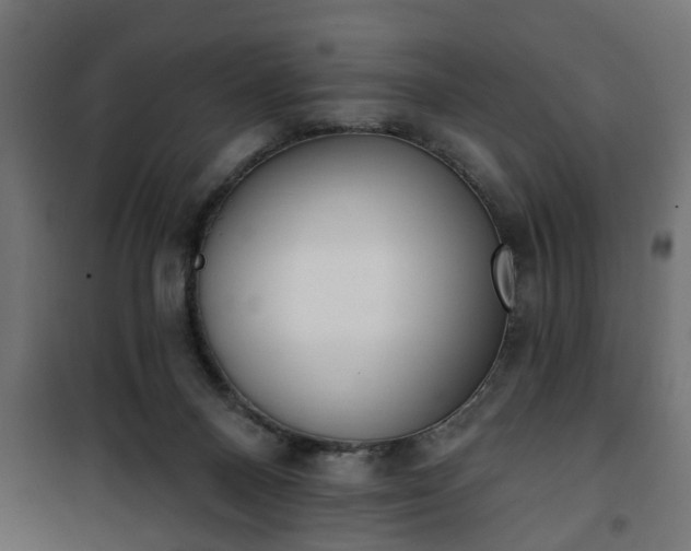 X0000101200120200807071324
