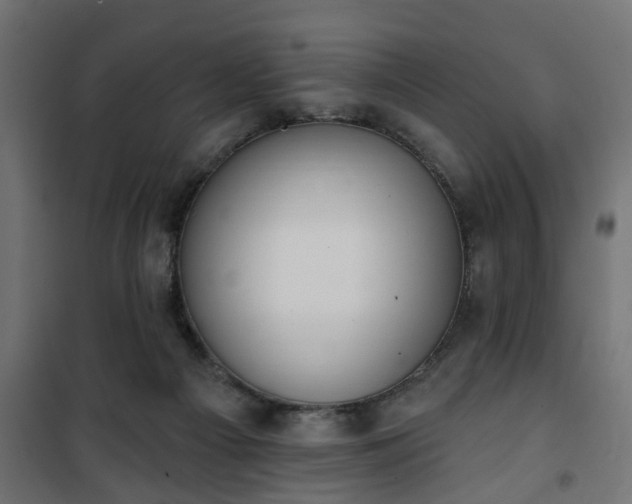 X0000101200121200807071324