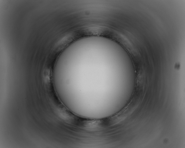 X0000101200122200807071324