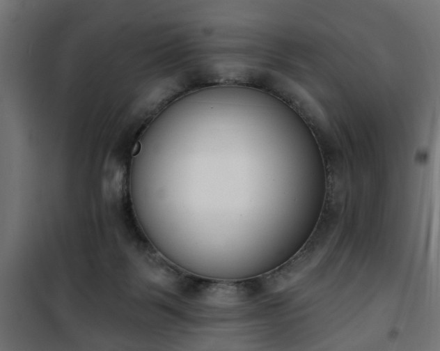 X0000101200123200807071324